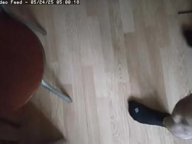 BonnieandClyde cam profile