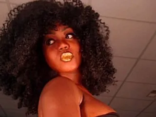 NiotMoreaux cam profile