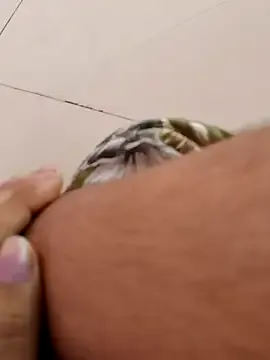 Hot-komall – webcam model profile photo